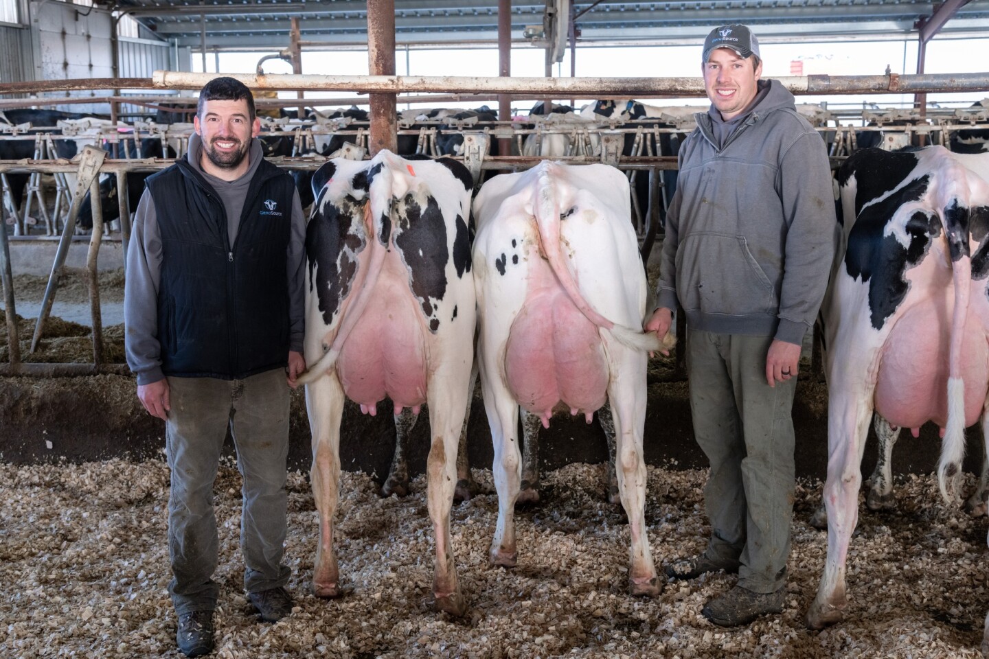 GenoSource: Redefining Dairy Through Tech Innovation and Partnership ...