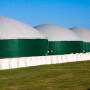 Scenic-View-Dairy-24