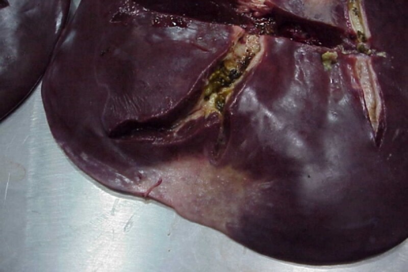 Can you diagnose this condition?