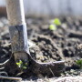 Shovel in soil