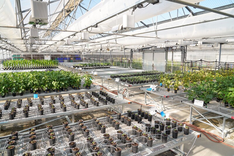 Joyn Bio was a joint venture between Ginkgo Bioworks and Leaps by Bayer and has about 75 employees in California and Boston.