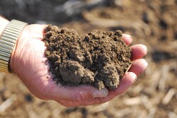 Roundup of Biostimulants Options