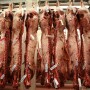 Beef packer margins increased significantly last week.