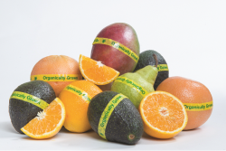 2D80328F-D7B9-4A27-89154E3D146A65C4.png