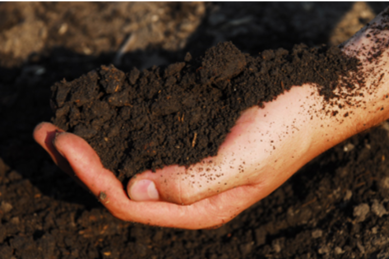 soil health 