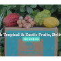 Fruit-Box.jpg