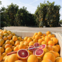 blood orange