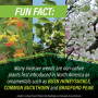 Weeds spread a variety of ways.