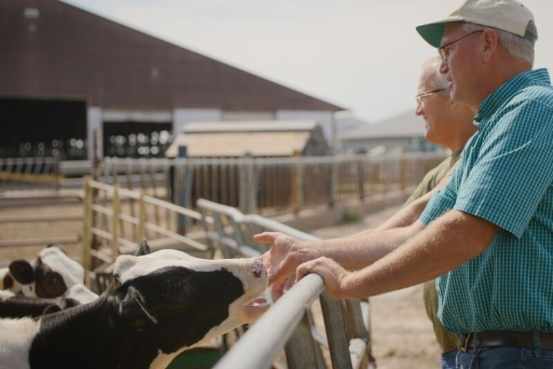 A Partnership Built on Progress: How Adisseo and Hyde Park Holsteins ...