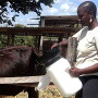 Nestle_-_Africa_dairy