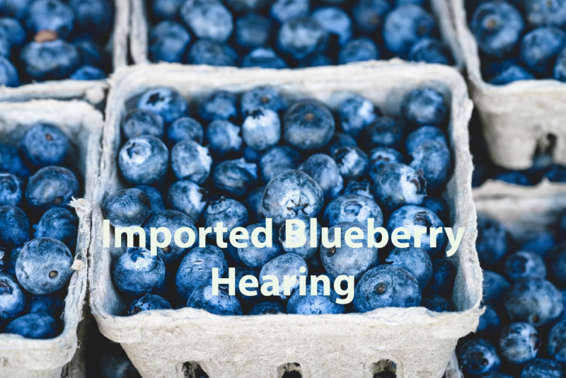 ITC blueberry hearing.png