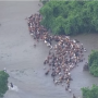 Texas_Flood_Round_Up