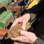 “I sure understand if people don’t want to listen to my words, but they can look at my soil,” Illinois producer Junior Upton says.