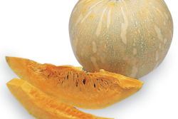Frontera Produce Ltd. now offers calabaza/gray squash.