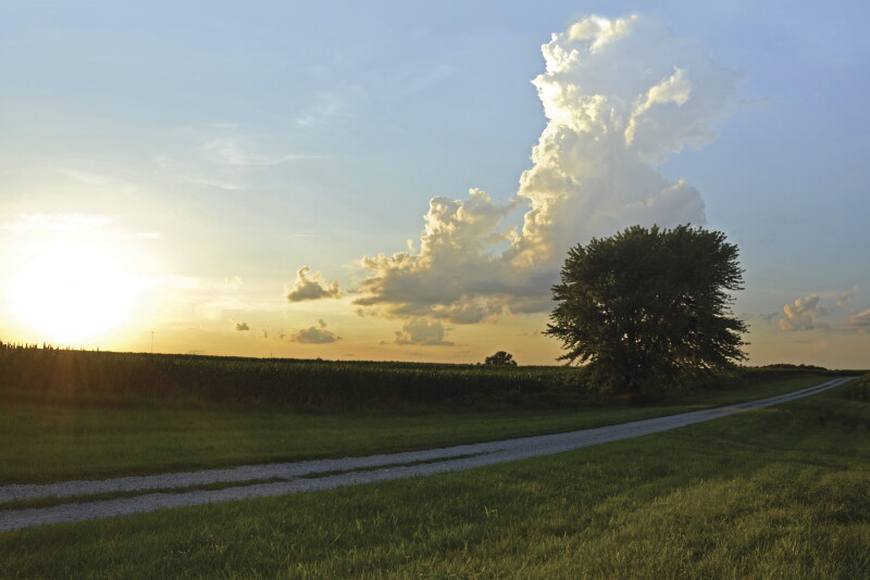 The future will definitely look different from the past. In the long run, what opportunities could farmers harvest? 