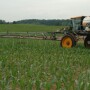 sidedressing