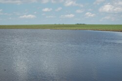 University of Nebraska economist says some flooded farm fields could be lost for good. 