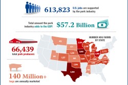 Raising the Bacon Infographic