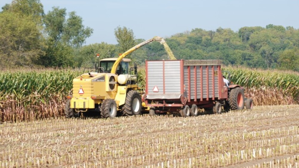 Silage_Harvest