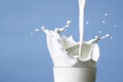 Milk Markets Move Higher