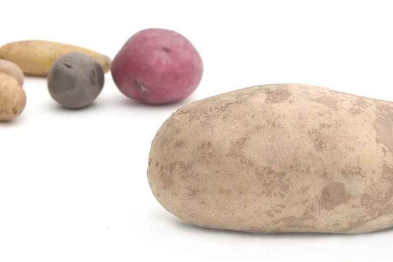  A shorter crop has reduced russet potato promotions this season, USDA statistics show.