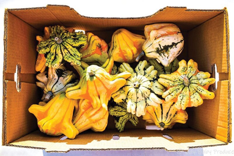Bay Baby Produce’s new line of Squidmo gourds.