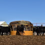 Hay Supply
