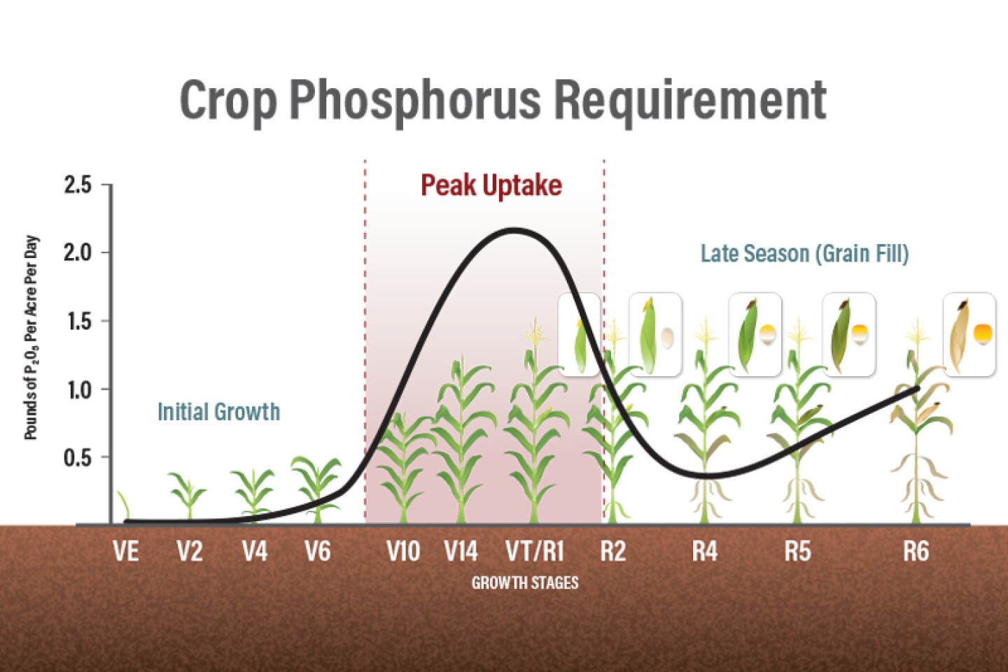 Beyond the Rate: 4 Ways to Sync Corn Nutrient Timing - AgWeb