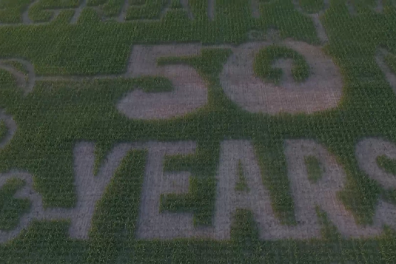 Charlie Brown Corn Mazes