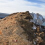 Compost Pile