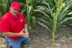Ken Ferrie, Farm Journal Field Agronomist
