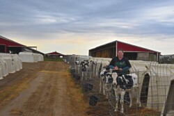 Kayla Clark, DVM, says the problem often presents in calves as a respiratory illness.