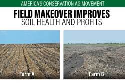 Reduced tillage and no till adoption reduce soil erosion, increase soil biological activity and increase soil organic matter.