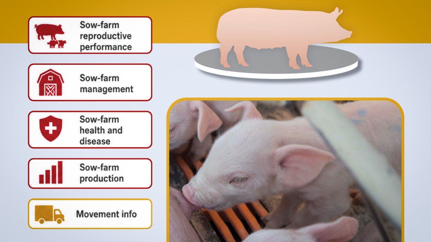 Predict the Future: Using Sow Data to Cut Nursery Mortality