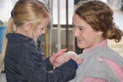 Harper and Olivia Shike with piglet