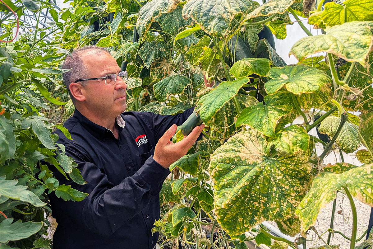 Vince Mastromauro, Sunset Foods Inc.