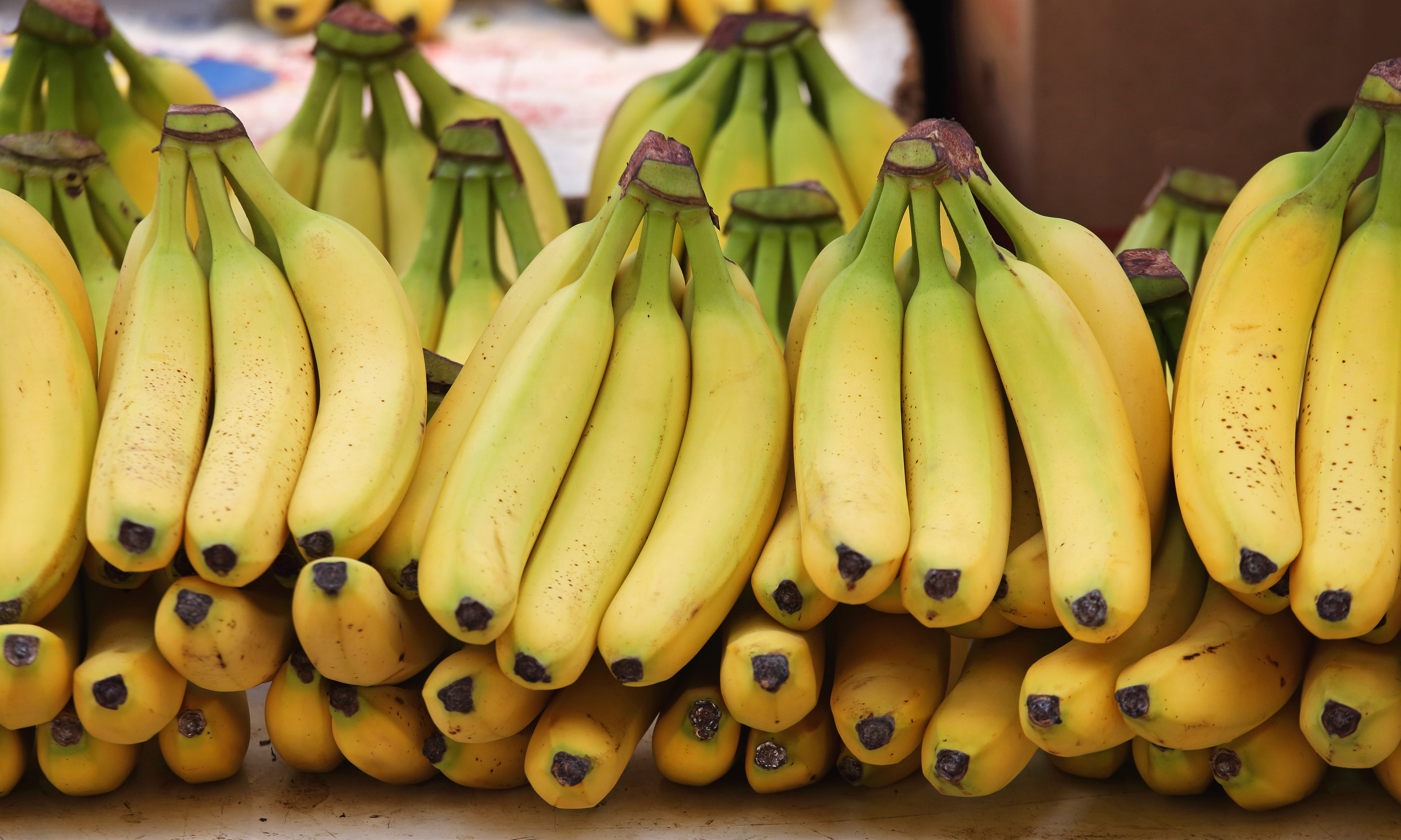 Are We Headed for a Global Banana Shortage?
