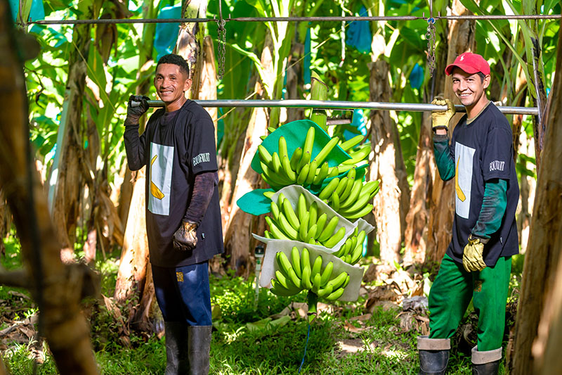 Equifruit banana farmers  EDIT- Photo CREDIT_ Guillermo Marcelo Cantillo Freja.jpg
