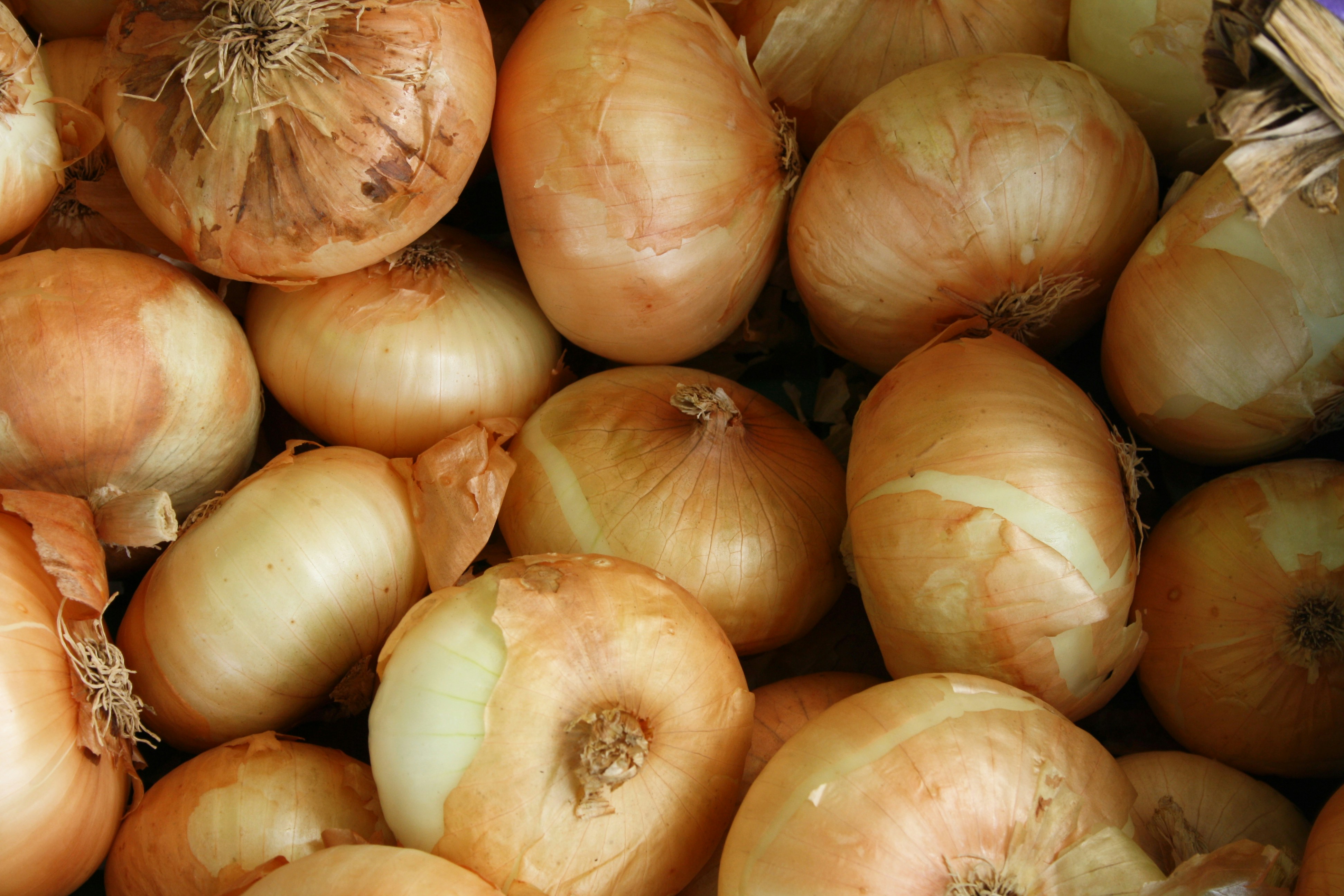 How an Off-Season Sweet Onion Solution Fills the Gap at Retail - Produce Market Guide