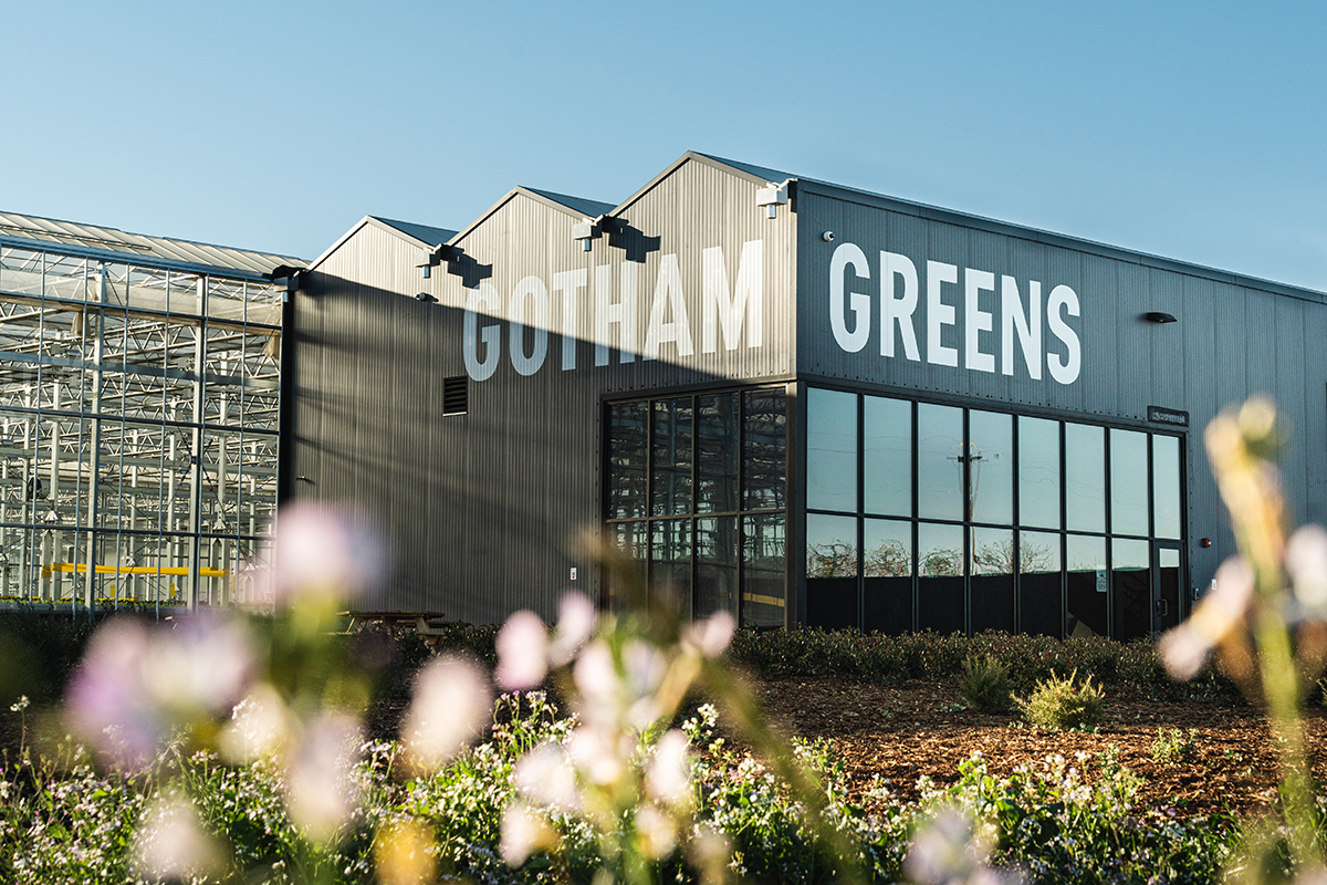 Riding an Indoor-Grown Demand Surge, Gotham Greens Charts Its Next Phase of Growth - Produce Market Guide
