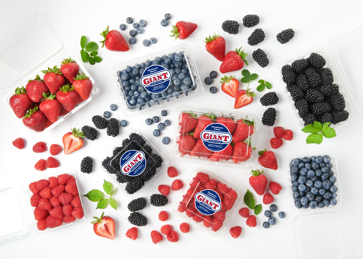 California Giant Berry Farms Highlights How Berries Are Always on the Menu